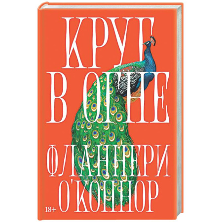 Классика, современная литература, книга Круг в огне