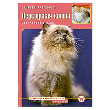 Персидская кошка. Содержание и уход