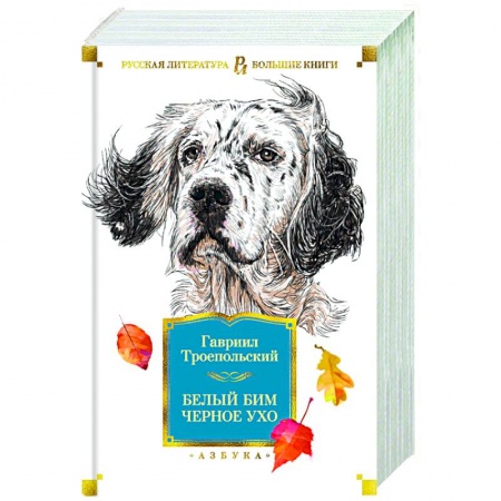 Классика, современная литература, книга Белый Бим Черное ухо