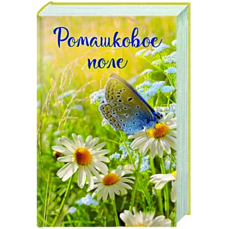 Классика, современная литература, книга Записки постороннего. Ромашковое поле