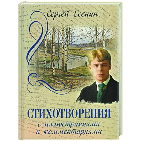 Классика, современная литература, книга Стихотворения с иллюстрациями и комментариями