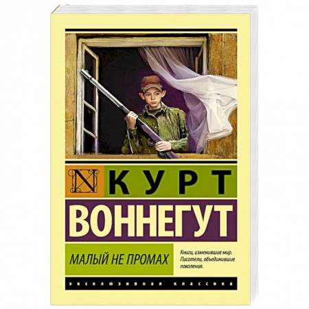 Классика, современная литература, книга Малый не промах