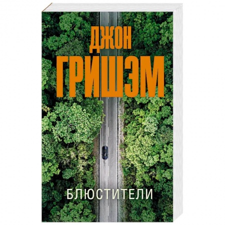 Детективы, триллеры, книга Блюстители
