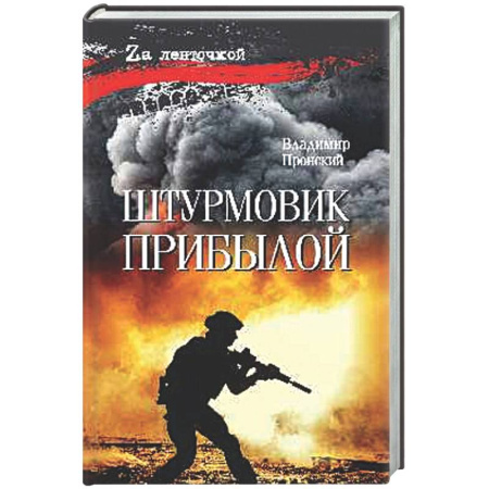 Детективы, триллеры, книга Штурмовик Прибылой