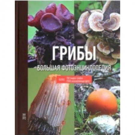 Охота. Рыбалка. Собирательство, книга Грибы