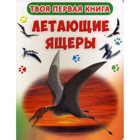 Познавательная литература, книга Твоя первая книга. Летающие ящеры