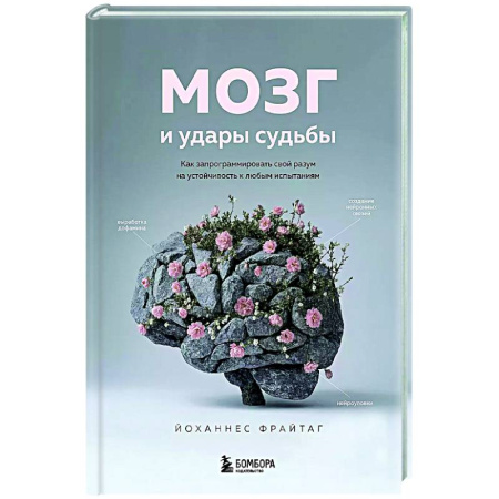 Общественные и гуманитарные науки, книга Мозг и удары судьбы. Как запрограммировать свой разум на устойчивость к любым испытаниям