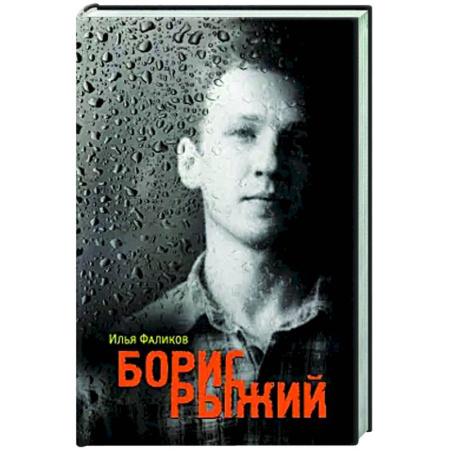 Мемуары, биографии, книга Борис Рыжий. Дивий камень