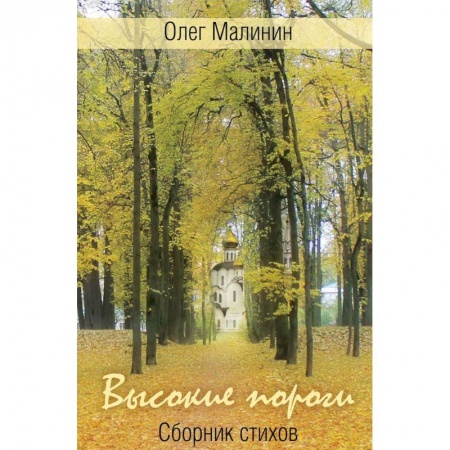 Классика, современная литература, книга Высокие пороги. Сборник стихов