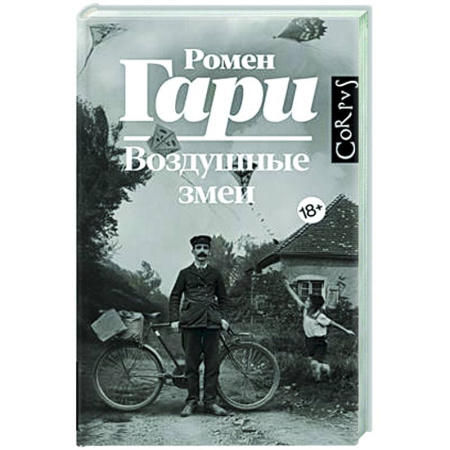 Классика, современная литература, книга Воздушные змеи