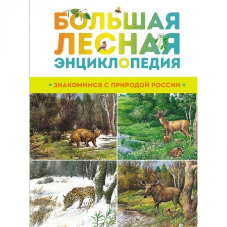 Познавательная литература, книга Большая лесная энциклопедия.Знакомимся с природой России