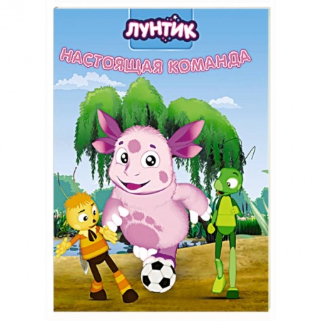 Книги для дошкольников (4-6 лет), книга Лунтик. Настоящая команда