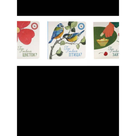 Познавательная литература, книга Где твой цветок?. Где твоя птица?. Где твой завтрак?