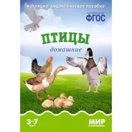 Справочная литература, книга Птицы перелетные: Наглядно-дидактическое пособие