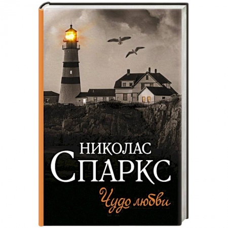 Любовный роман, книга Чудо любви