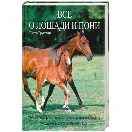Книги, книга Все о лошади и пони
