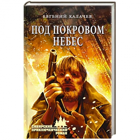 Детективы, триллеры, книга Под покровом небес