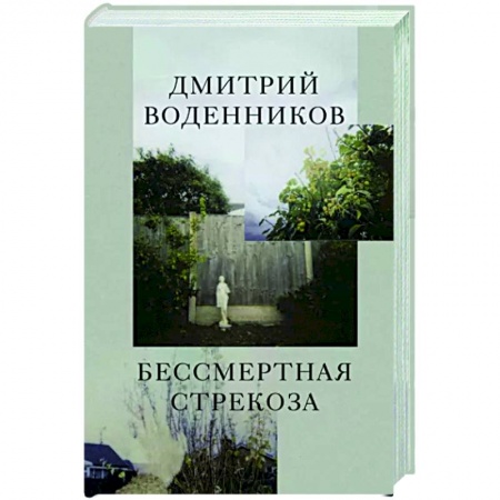 Классика, современная литература, книга Бессмертная стрекоза