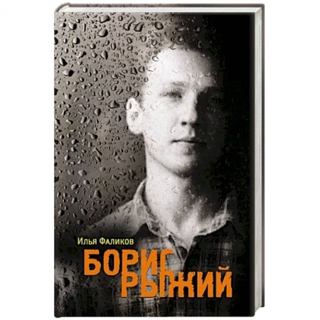 Мемуары, биографии, книга Борис Рыжий. Дивий камень