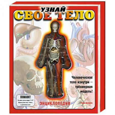 Книги, книга Узнай свое тело. Книжка-игрушка