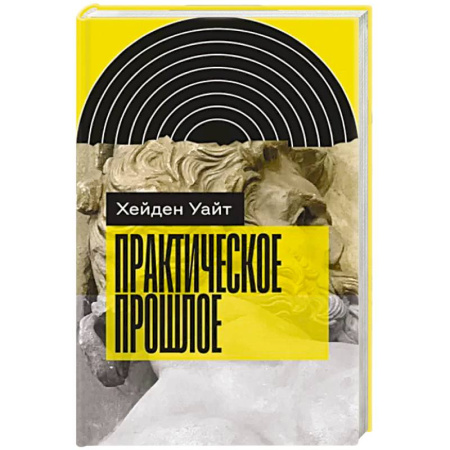 Общественные и гуманитарные науки, книга Практическое прошлое