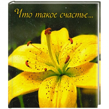Книги, книга Что такое счастье…