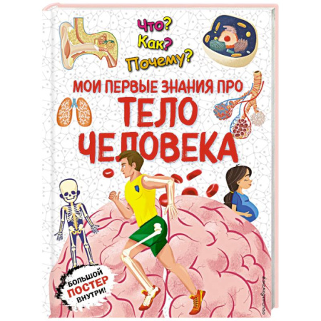 книга Что? Как? Почему? Мои первые знания про ТЕЛО ЧЕЛОВЕКА (с постером) с доставкой по Франции Познавательная литература, книга Что? Как? Почему? Мои первые знания про ТЕЛО ЧЕЛОВЕКА (с постером)