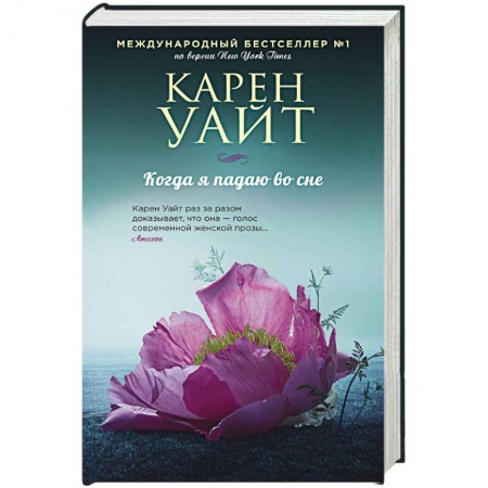 Любовный роман, книга Когда я падаю во сне