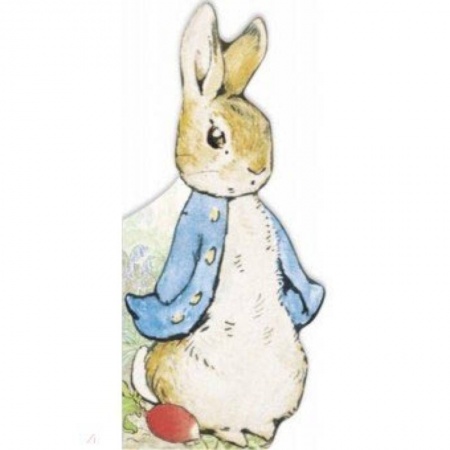 Изучение языков, книга Peter Rabbit. All About Peter
