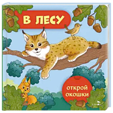 Книги для самых маленьких (0-3 года), книга Открой окошки. В лесу