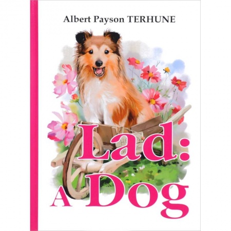 Изучение языков, книга Lad. A Dog