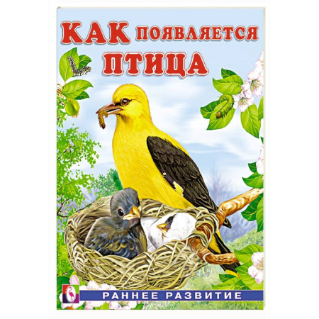 Познавательная литература, книга Как появляется птица