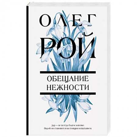 Классика, современная литература, книга Обещание нежности