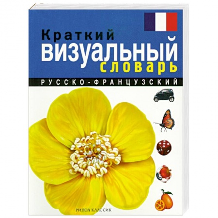 Книги, книга Краткий русско-французский визуальный словарь