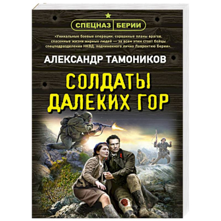 Детективы, триллеры, книга Солдаты далеких гор