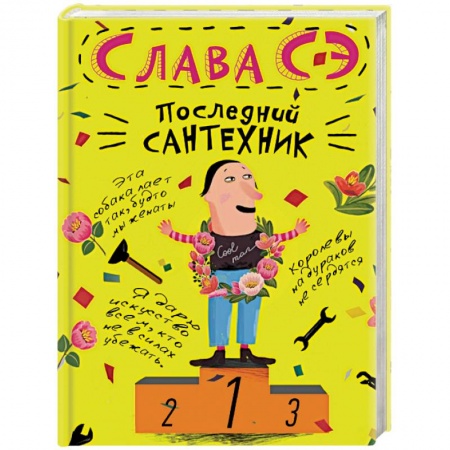 Книги, книга Последний сантехник