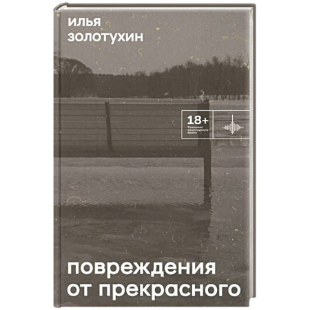 Классика, современная литература, книга Повреждения от прекрасного