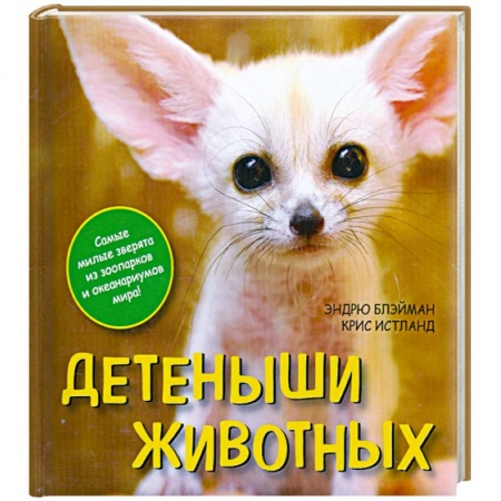 Книги, книга Детеныши животных