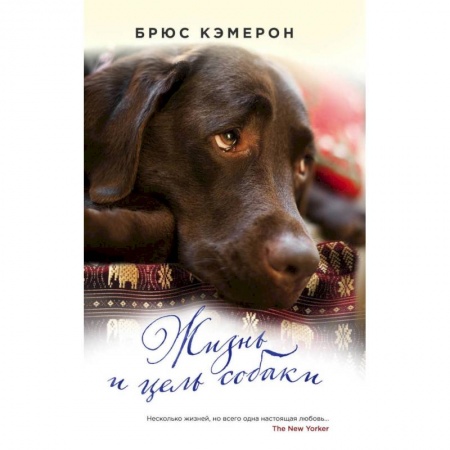 Классика, современная литература, книга Жизнь и цель собаки: роман