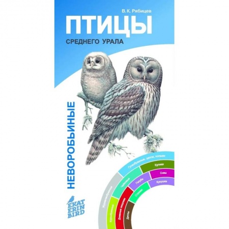 Справочная литература, книга Птицы Среднего Урала.Воробьиные и неворобьиные:веер-определитель