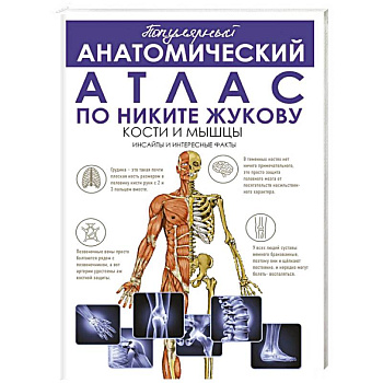 Популярный анатомический атлас по Никите Жукову: кости и мышцы. Инсайты и интересные факты Популярный анатомический атлас по Никите Жукову: кости и мышцы. Инсайты и интересные факты