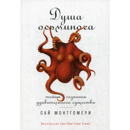 Естественные науки, книга Душа осьминога: Тайны сознания удивительного существа