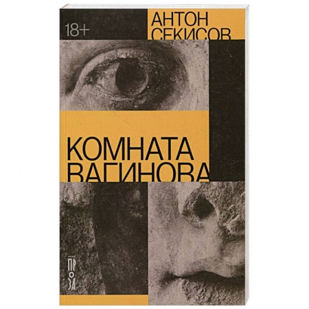 Детективы, триллеры, книга Комната Вагинова