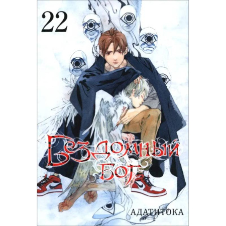 Развлечения. Праздники. Юмор, книга Бездомный бог. Том 22 / Noragami Vol 22