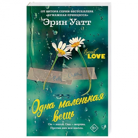 Любовный роман, книга Одна маленькая вещь